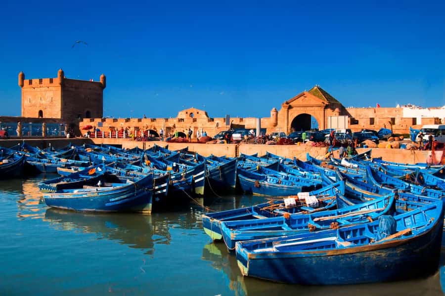 Essaouira Atlantic coast Day trip from marrakech - Should you book the Essaouira trip?