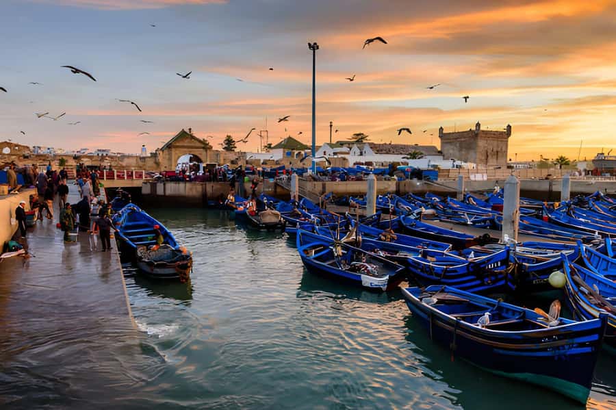 Essaouira Day Trip from Agadir - The port, crafts, and ocean air