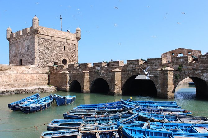 Essaouira day trip from Agadir & Taghazout - The 7:30 am pickup and the long road north