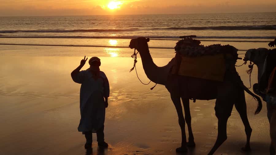Essaouira: One Hour Dromedary Ride - Key points to know before you book