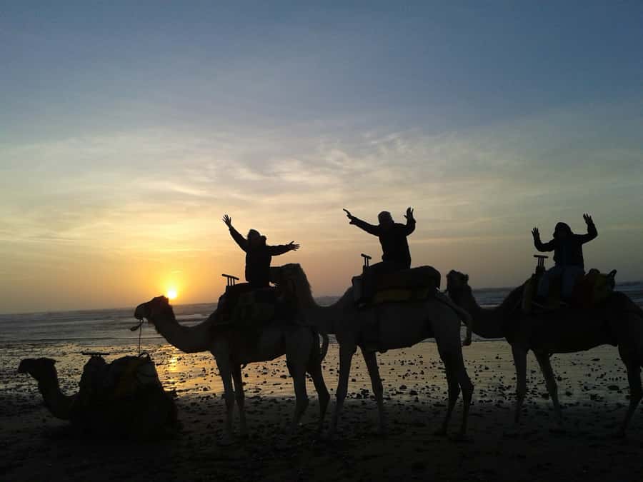 Essaouira: One Hour Dromedary Ride - Riding out through Diabat’s countryside