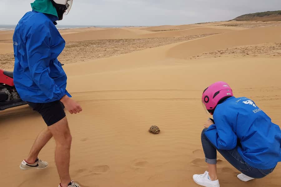 Essaouira P3: Quad tour forest beach dunes (free transfer) - Starting south of Essaouira by quad