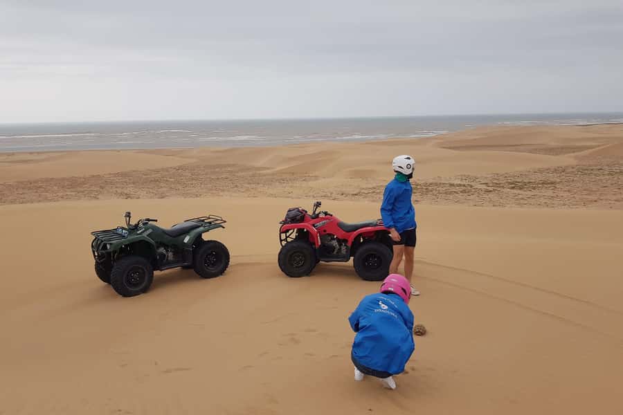 Essaouira P3: Quad tour forest beach dunes (free transfer) - Across the sand dunes near Dar Sultan Palace