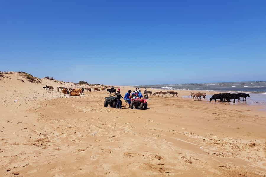 Essaouira P3: Quad tour forest beach dunes (free transfer) - Bourj El Baroud and the coastal sense of place