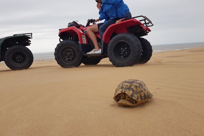 Essaouira: Pleasant Quad tour (free transfer) - A Quad Ride Beyond Essaouira’s Medina