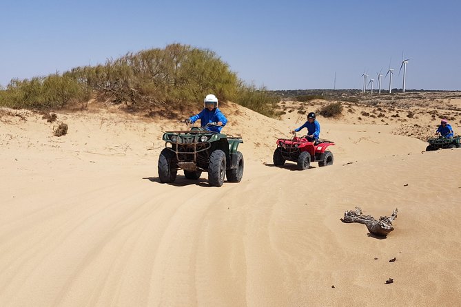 Essaouira: Pleasant Quad tour (free transfer) - Meeting Fishermen and Seeing Sea Urchin Gathering