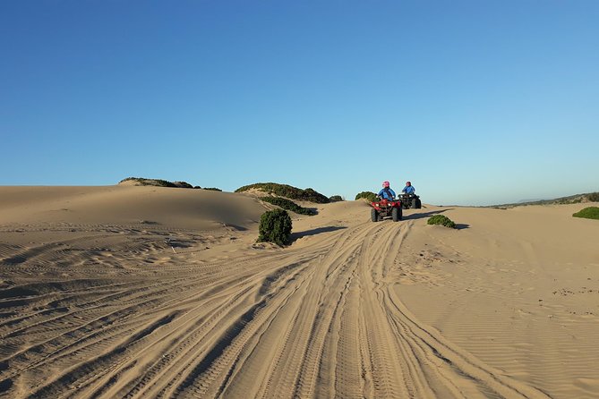 Essaouira: Pleasant Quad tour (free transfer) - Why the Private Format Changes the Ride