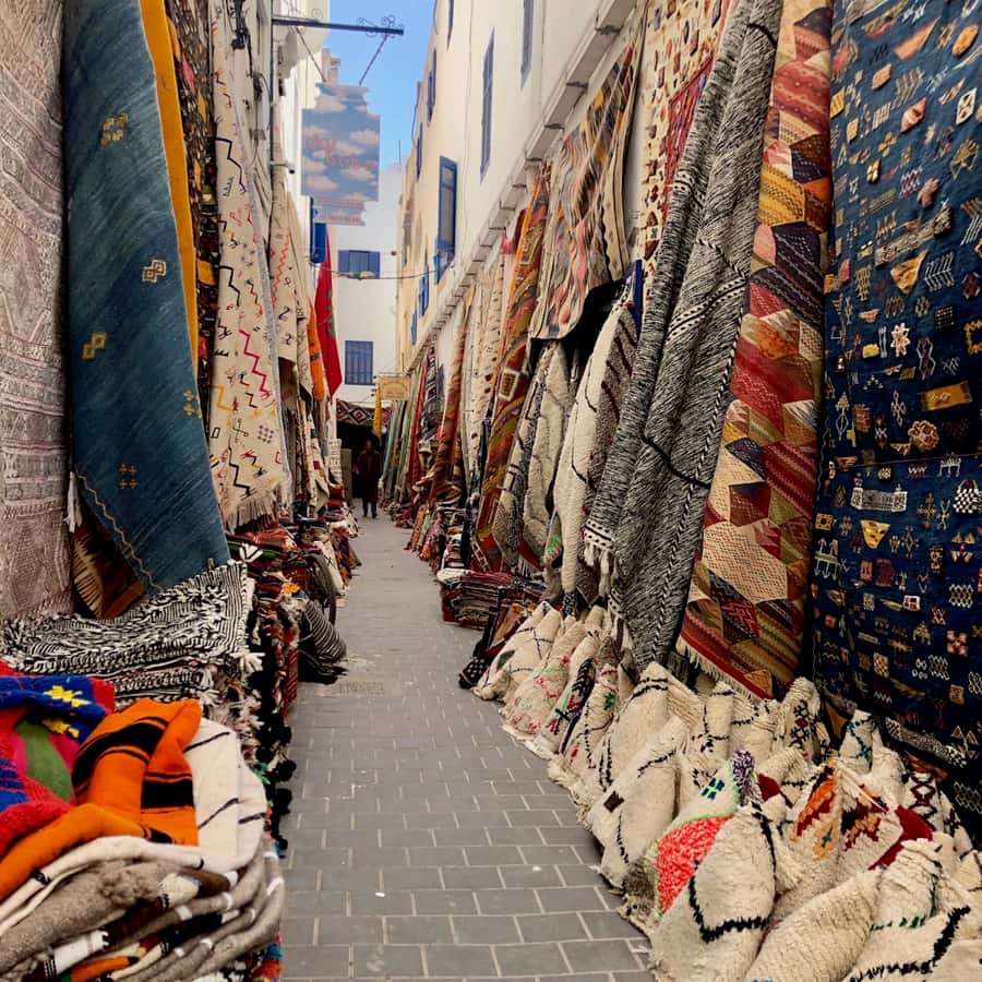 Essaouira: Private City Tour - Tea and the main square