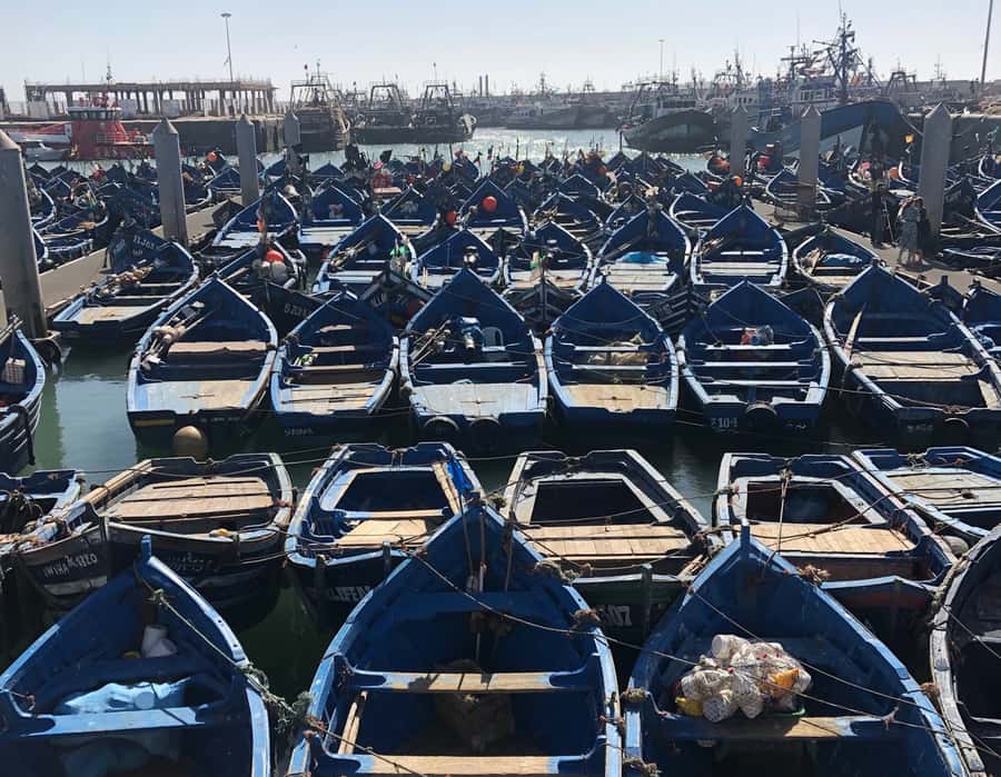 Essaouira: Private City Tour - Souks, craft traditions, and the shopping question