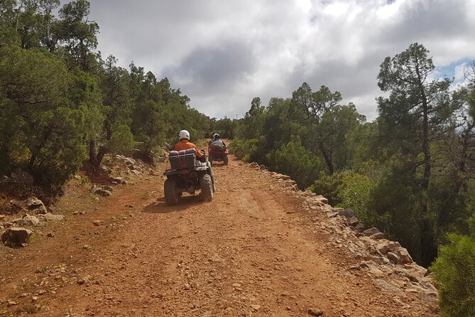 Essaouira: Quad ride / family & friends (free transfer) - Sidi Kaouki and the fishing-village stop