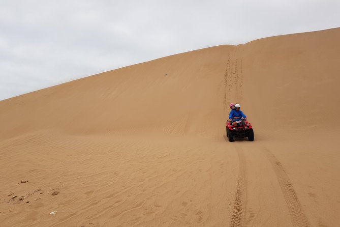 Essaouira: Quad ride / family & friends (free transfer) - Crossing dunes and open sand near Sidi Kaouki