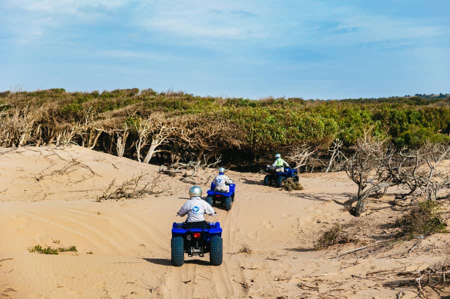 Essaouira Sand Dunes: Half Day Quad Bike Tour - Equipment and quad size: check this carefully
