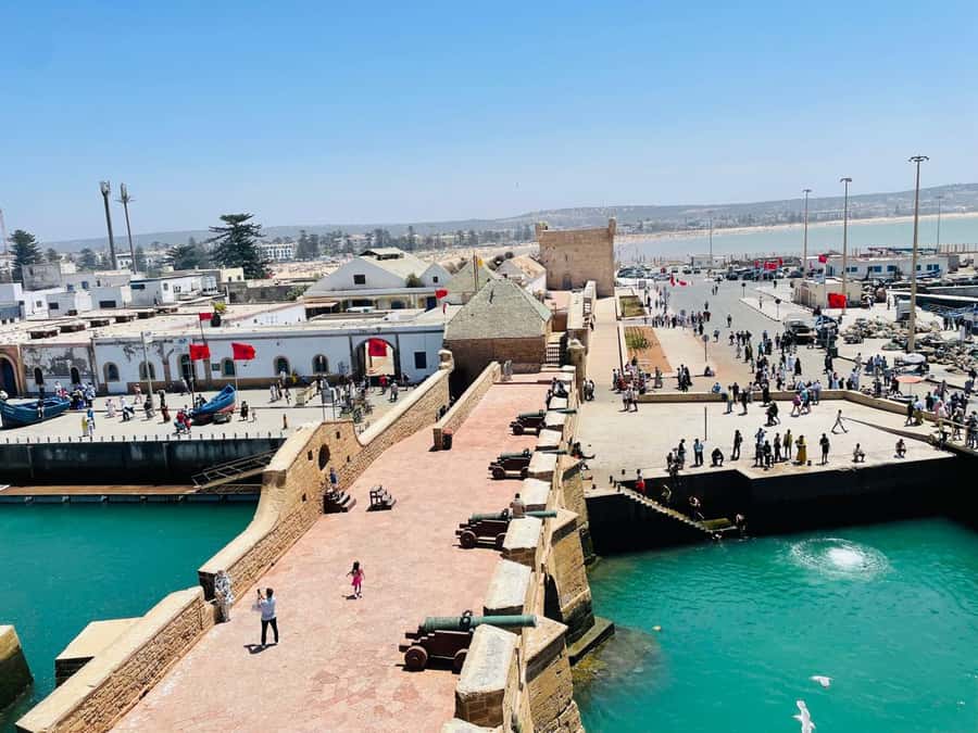Essaouira: Sqala du Port, Citadel, Fish Market & Medina Tour - Key points at a glance
