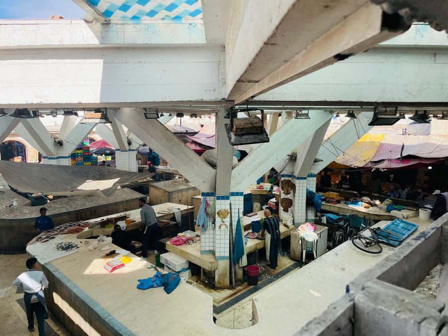 Essaouira: Sqala du Port, Citadel, Fish Market & Medina Tour - Finishing at the Fish Market