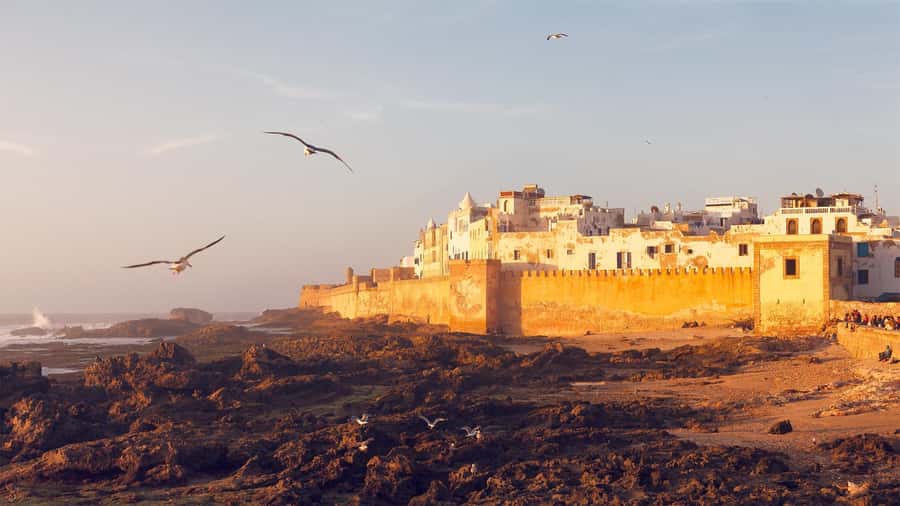 Essaouira: Sqala du Port, Medina Ramparts & Fish Market Tour - The fish market and a working port