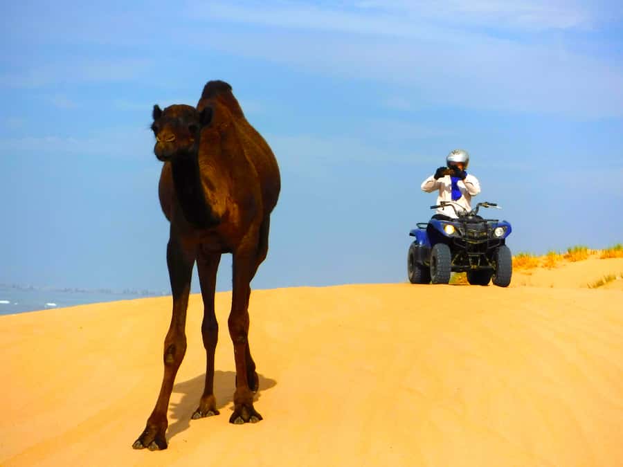 Essaouria: Beach & Big Dunes 2-Hour Quad Biking Tour - Turning inland toward Cap Sim’s big dunes