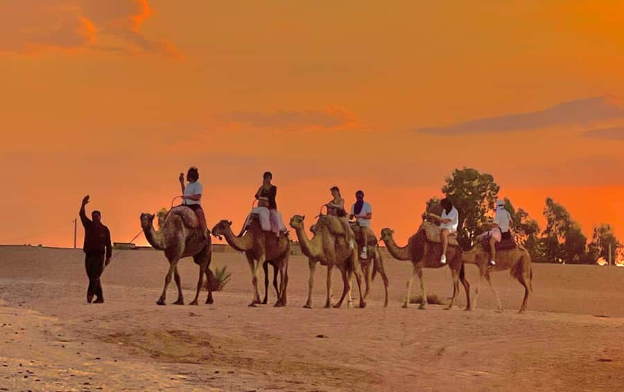 Evening Marrakech: Agafay Desert Quad , Camel & Dinner Shows - A short camel tour at a gentler pace