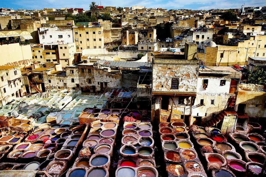 Exclusive Fez Medina Walking Tour with a local Guide - Moulay Idriss II and the spiritual side of Fez