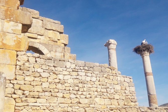 Excursion Meknes Volubilis - Lunch, tickets, and the real cost