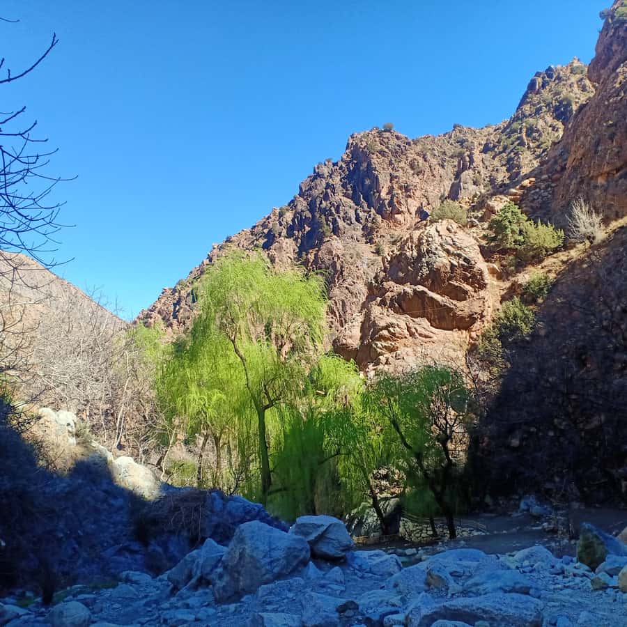 Excursion Ourika valley and atlas mountains with Lunch - Who should book this Ourika Valley outing?