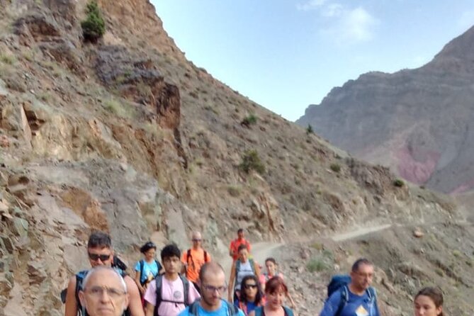 Excursion to Gorge Dades and Canyon Fingers of Monkey Morocco - Plants, birds, and the working valley