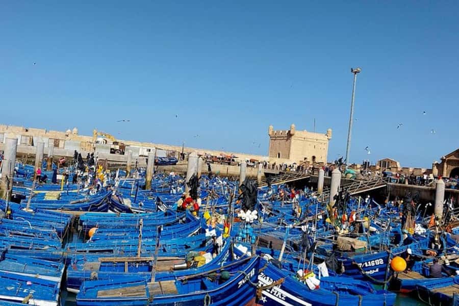 Explore Essaouira's Secrets: A Guided Tour with a Local! - Starting in Essaouira, with the city at your feet