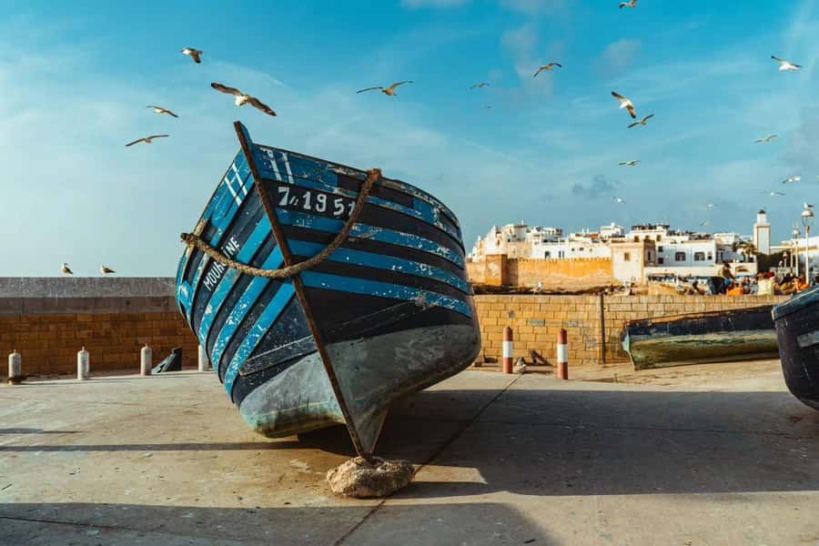 Explore Essaouira's Secrets: A Guided Tour with a Local! - The hammam question