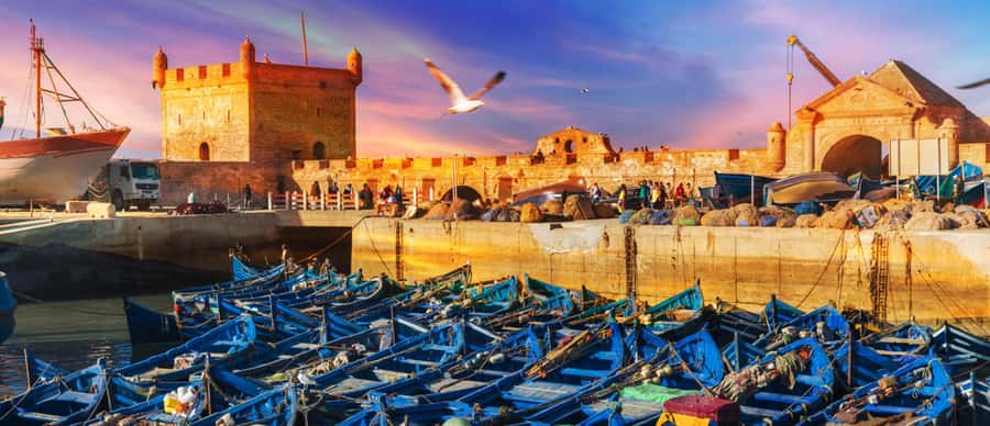Explore Essaouira's Secrets: A Guided Tour with a Local! - Port of Essaouira, where the city meets the Atlantic