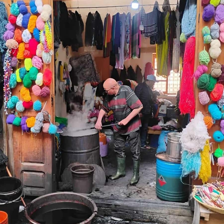 Explore Fes: Unforgettable Guided Walking Tour of the Medina - Key points to know