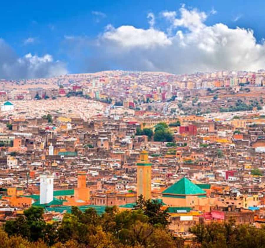 Explore Fes: Unforgettable Guided Walking Tour of the Medina - Tea, street food, and a flexible finish
