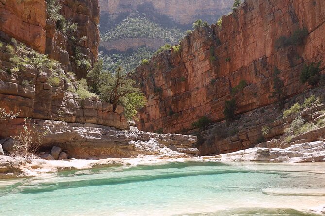 Explore Paradise Valley and Atlas Mountains in Agadir - The botanic garden: a short opening stop