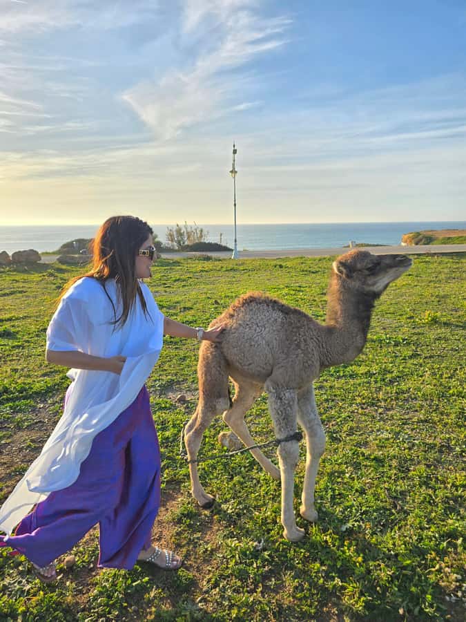 Explore Tangier: Cap Spartel, Cave, & Camel Ride Adventure - Key points at a glance