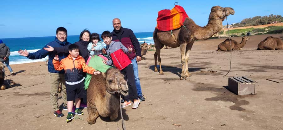 Explore Tangier: Cap Spartel, Cave, & Camel Ride Adventure - What the drivers add to the experience