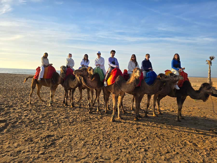 Explore Tangier: Cap Spartel, Cave, & Camel Ride Adventure - Timing, comfort, and who should book