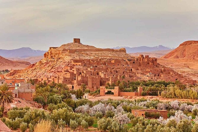 Fabulous 3 Day Desert Adventure to Merzouga with Small Group - Day two, Todra River and the road to Merzouga