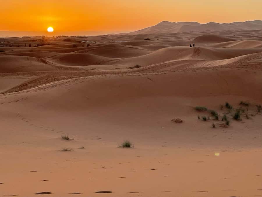 Fes: 3 Days Desert Tour from Fes back to Fez - Guides, vehicles, and comfort