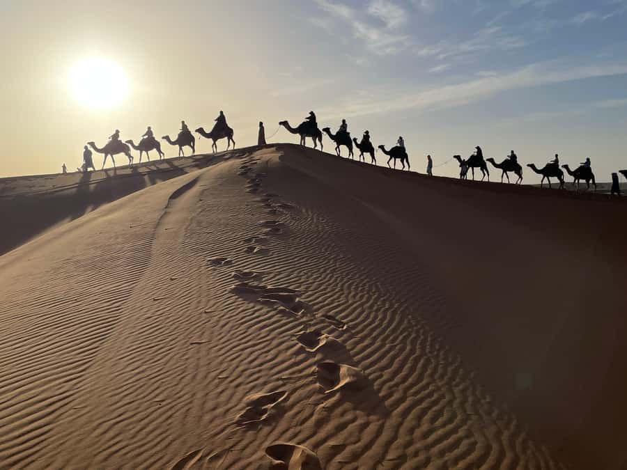 Fes: 3 Days Desert Tour from Fes back to Fez - Is $204 a good deal?
