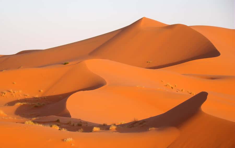 Fes: 3 Days Desert Tour from Fes back to Fez - Ifrane and the cedar forests near Azrou