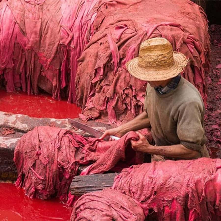 Fes: A Guided Walking Tour Through the Historic Medina - Chouara Tannery and the realities of leather-making