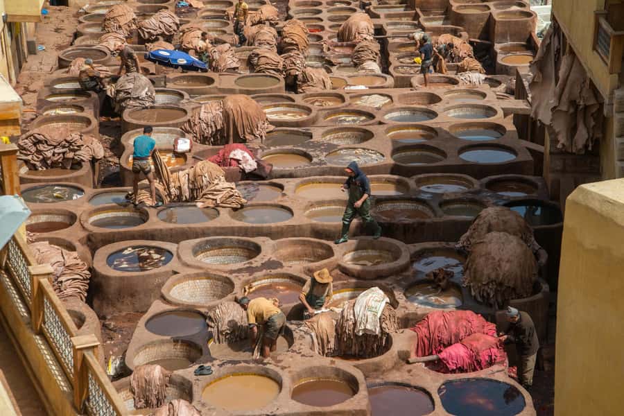 Fes: Attarine Madrasa, Museum, Tannery, Souk and Medina Tour - Chouara Tannery from the panoramic terraces