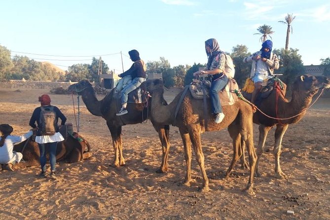 Fes desert tours 2 days - Erfoud and the changing southern scenery
