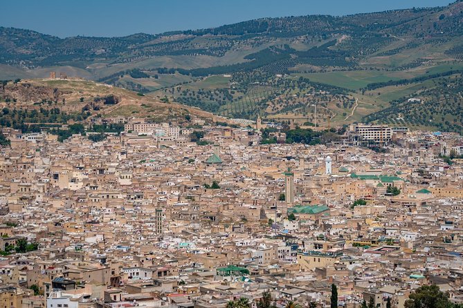 Fes Guided Tours Full Day - Why a private guide helps in Fes
