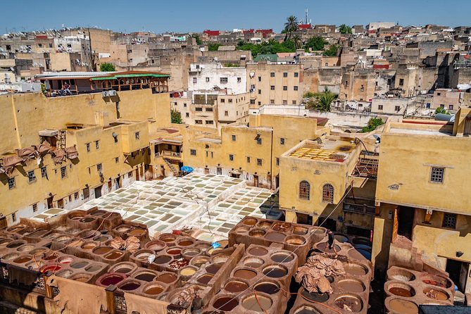 Fes Guided Tours Full Day - The opening drive to the Royal Palace and Mellah
