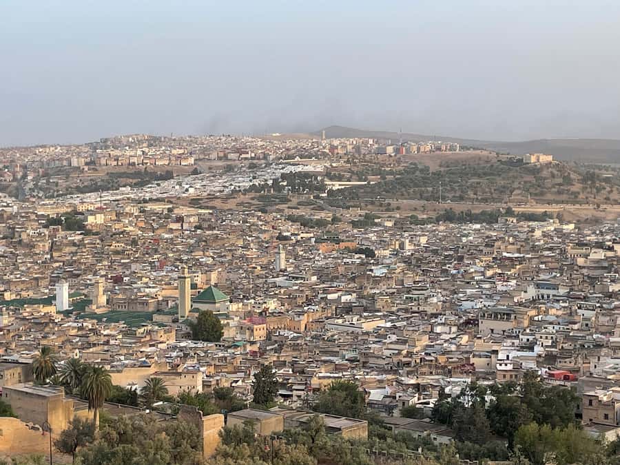 Fes: Medina Guided Tour with Local - Henna Souk, Attarin Market, and Seffarine Square
