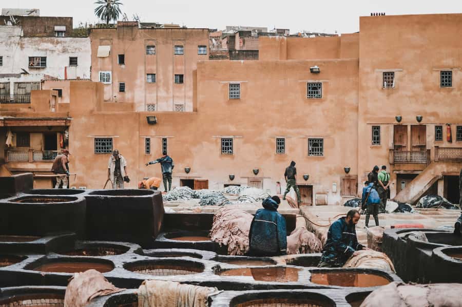 Fes: Royal Palace, Madrasa, Tannery & Souks and Medina Tour - Is $15 good value?