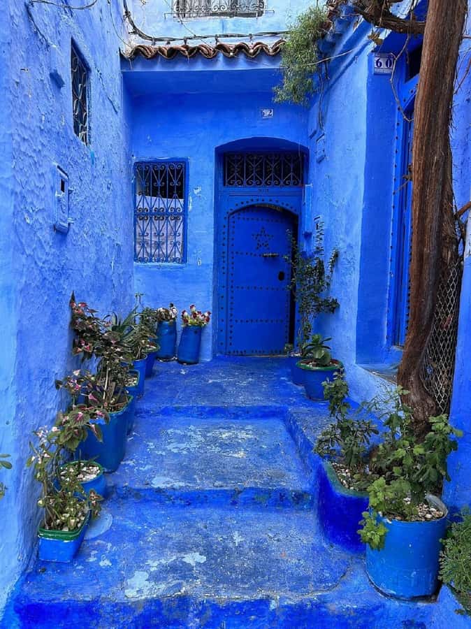 Fes to Chefchaouen Day Trip multi languages(EN/FR/ES/IT/AR) - Three hours to make Chefchaouen your own