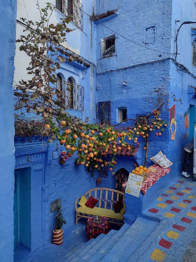 Fes to Chefchaouen Day Trip multi languages(EN/FR/ES/IT/AR) - What the driver adds to the day