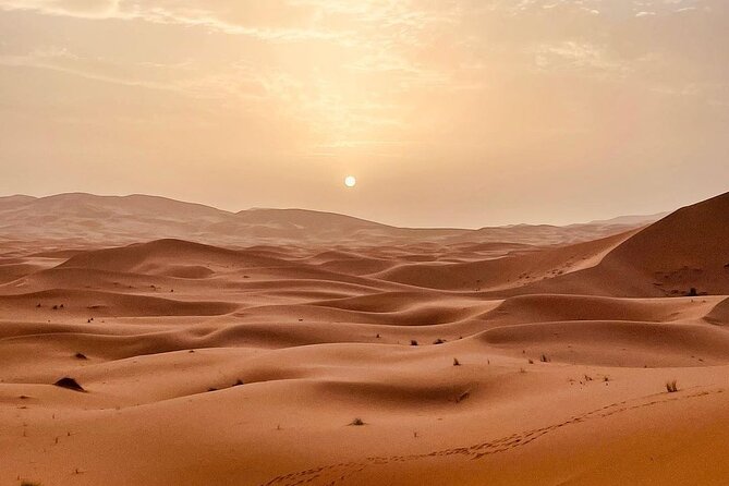 Fes to Desert journey through the heart of Morocco - Who should choose this tour?