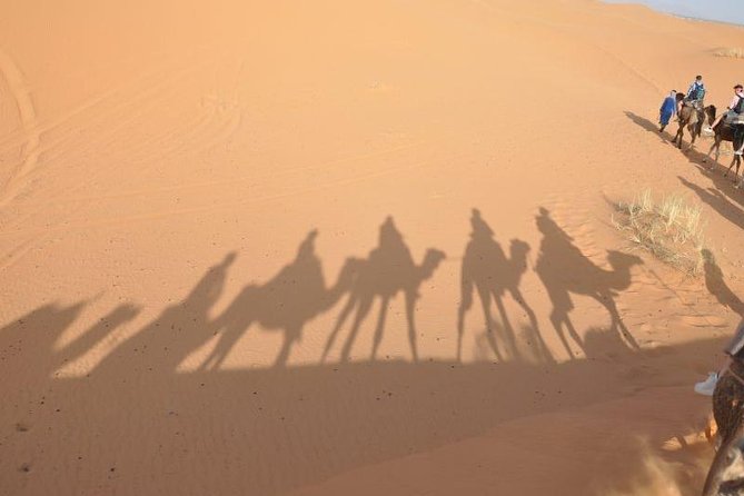 Fes to Fes 2 days via Merzouga desert tour - From Fez to the Sahara in only two days