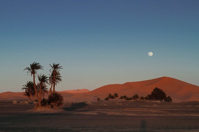 Fes to Fes 2 days via Merzouga desert tour - The 8:00 AM departure from Fez